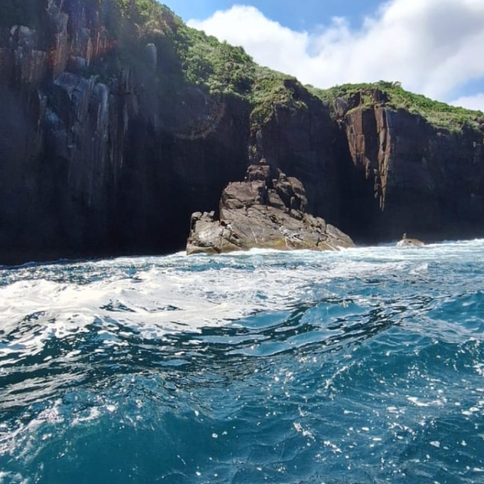 Captura de Tela 2025-10-07 às 18.56.02