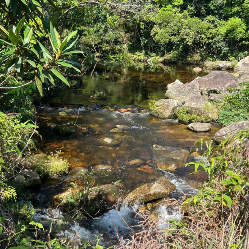 Captura de Tela 2025-10-07 às 18.56.29