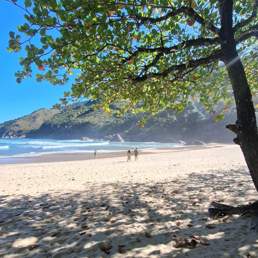 Captura de Tela 2025-10-07 às 19.00.52