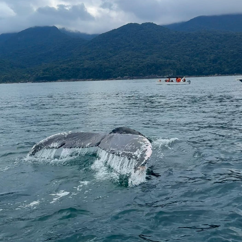 Captura de Tela 2025-10-08 às 11.03.55